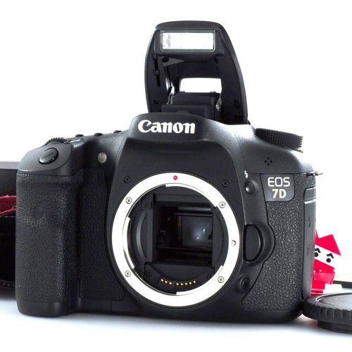 Corpo fotocamera reflex